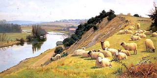 A Riverside Pasture with Sheep