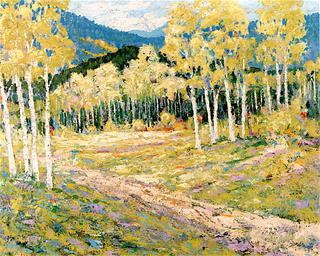 Taos Aspens