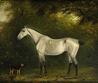 A Dappled Grey Hunter with a Terrier amongst the Trees