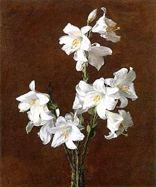 White Lilies