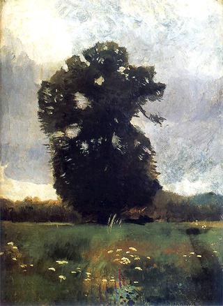 The Oak Tree