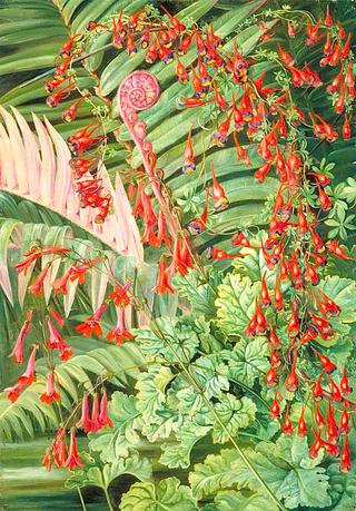 Fern and Flowers Bordering the River at Chanleon, Chili