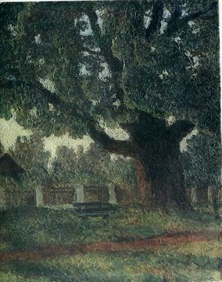 The Oak Tree