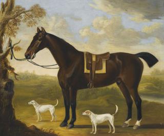 Portrait of a bay hunter and hounds in a landscape