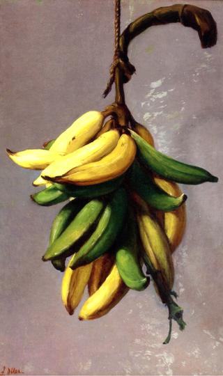 Yellow Plantains