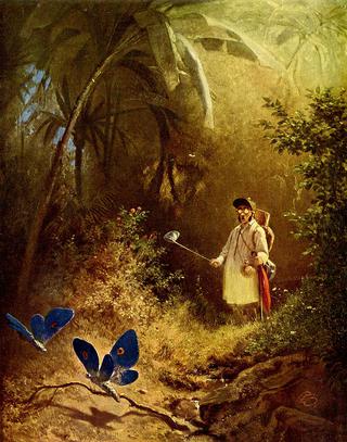 The Butterfly Catcher