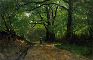 A Wooded Landscape in Summer