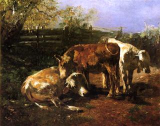 Group of Three Cows