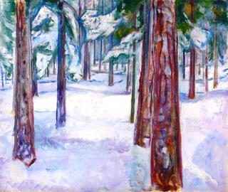 Forest in Snow