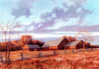 Long Island Autumn