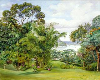 View of the River from the Rajah's Garden, Sarawak, Borneo