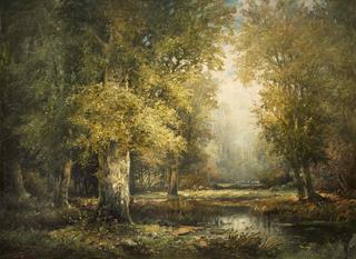 Forest Landscape