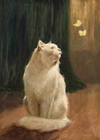 White Cat and Two Brimstone Butterflies