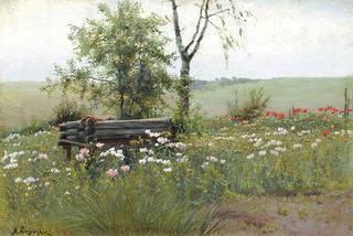 Poppies