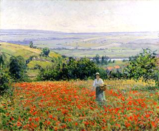 Woman in a Poppy Field