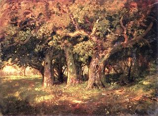 Study of Oaks