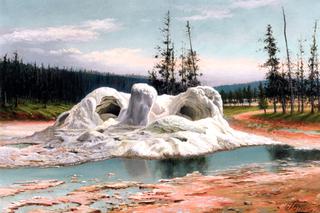 Grotto Geyser, Yellowstone