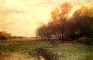 Fall Landscape