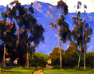 Eucalyptus Landscape