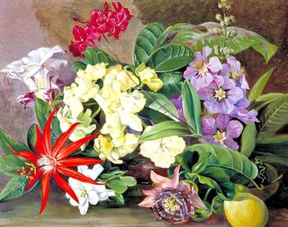 Cultivated Flowers, Painted in Jamaica