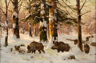 Wild Boar in Winter Forest