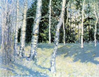 Alley of Birches