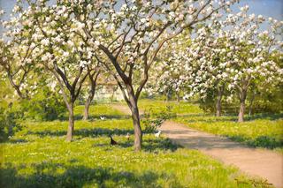Farm idyll with blooming apple trees and chickens