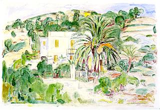 Villa with Palms