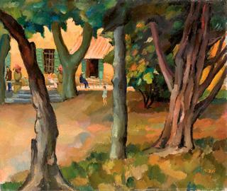 Trees in Provence