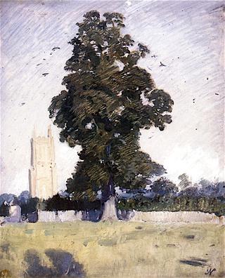 The Elm Tree by Mells Church