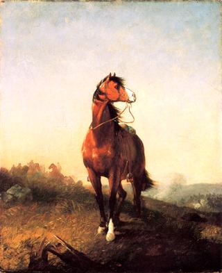 A Riderless War Horse