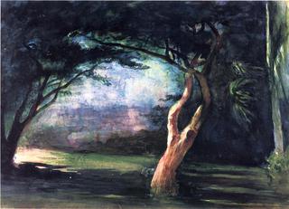 Study of Trees in Moonlight, at Honolulu