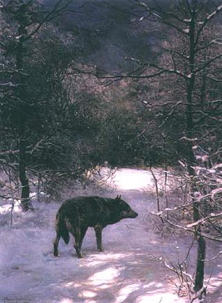 Wolf in the Winter Forest