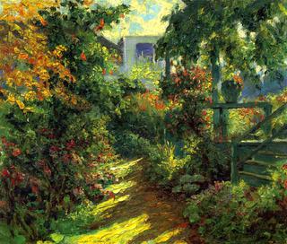 A Sunny Grove, Pacific Grove
