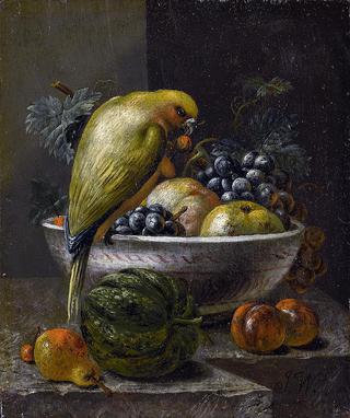 Still Life with Fruit and Parrot