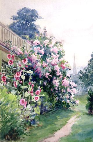 Hollyhocks