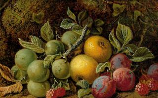 Fruit Still-life with Raspberries, Plums, Quince and Greengage