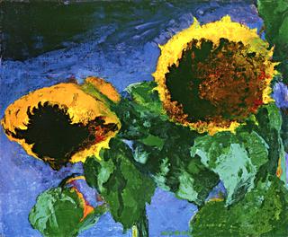 Ripe Sunflowers