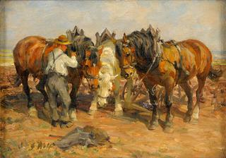 Clamping the horse