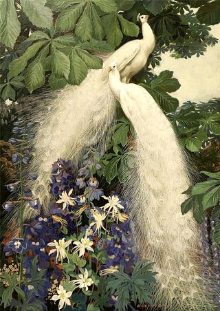 White Peacocks