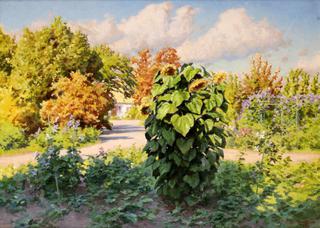 Sunflowers in the garden