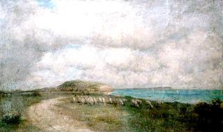 Sheep on Hengistbury Head