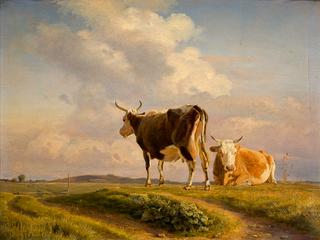 Two Cows in an Open Field