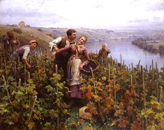 In the Vineyard