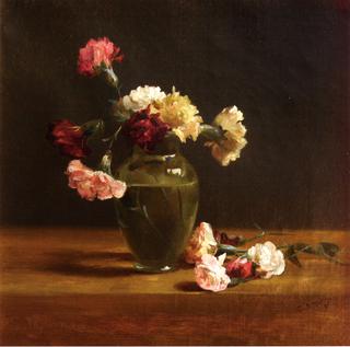 Carnations