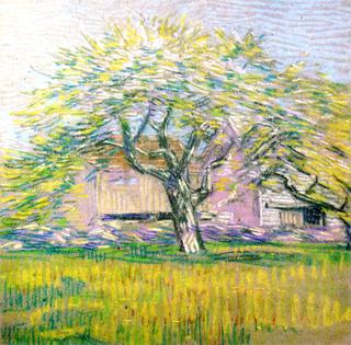 Tree in Bloom