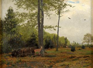 Forest clearing with deer