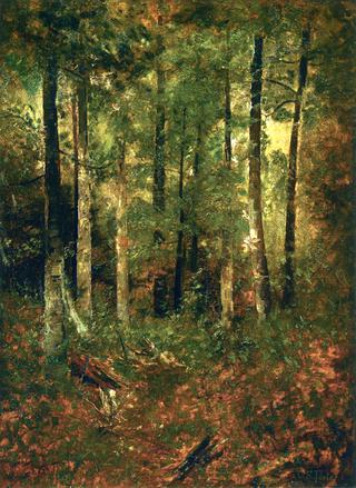 Forest Scene