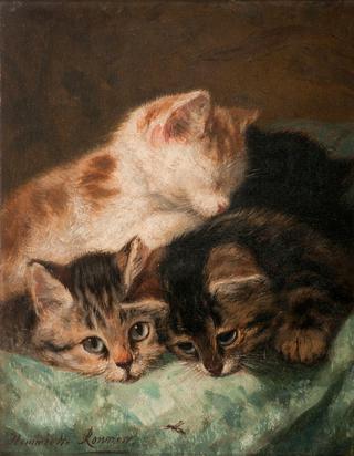 kittens