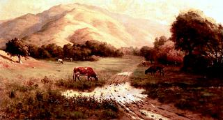Cows in a Marin Landscape